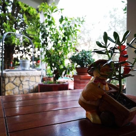 Casa Vacanze Sonia Leilighet Amelia Eksteriør bilde