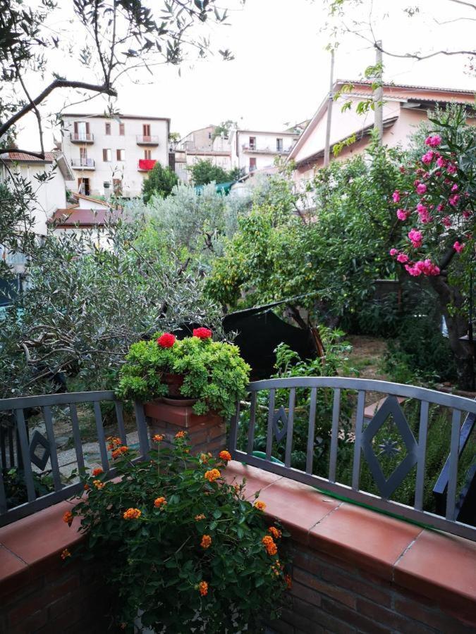 Casa Vacanze Sonia Leilighet Amelia Eksteriør bilde